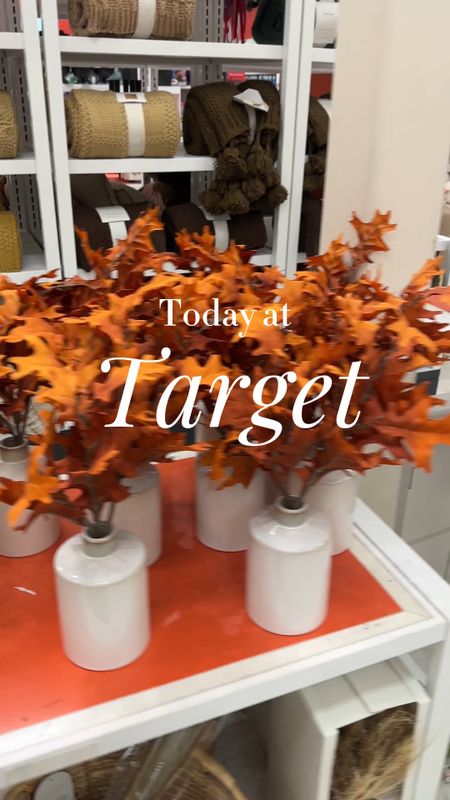 Fall Decor 
Halloween Decor
Fall Home
Target Home
Threshold
Project 62
Table Decorations
Home accents 
Fall accents

#LTKSeasonal #LTKHalloween #LTKhome