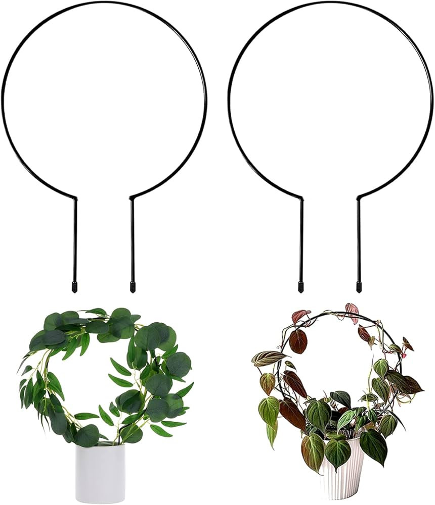 Levery 2 Pack Garden Trellis for Climbing Plants, 13 inches Rust-Proof Iron Metal Plant Support w... | Amazon (US)