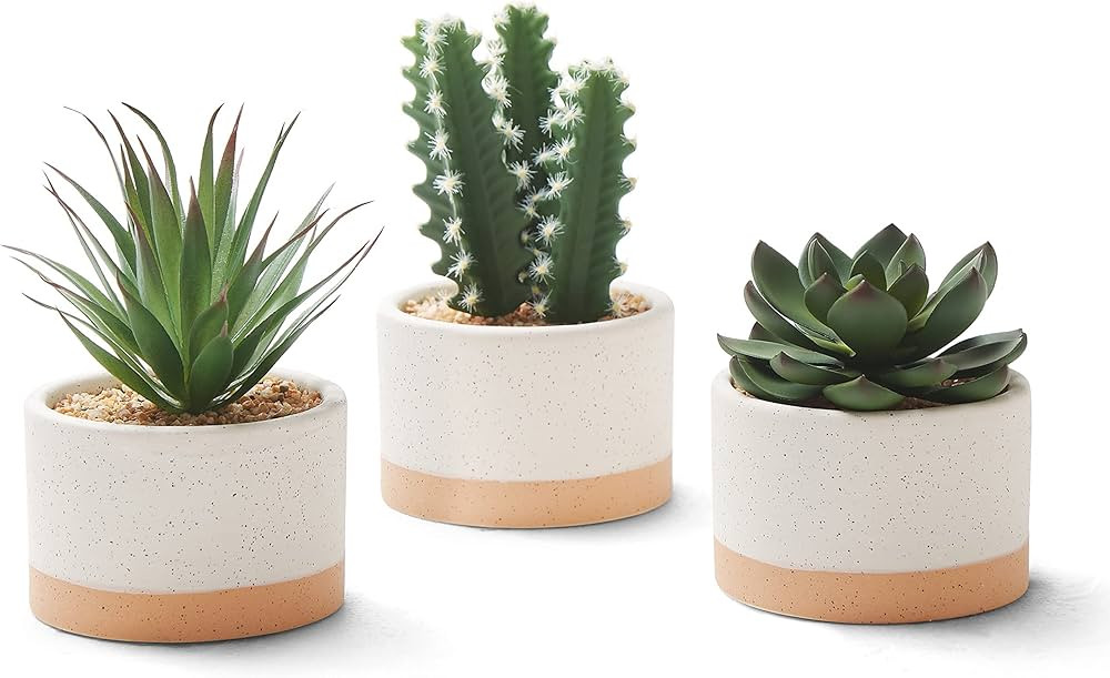ASTRIDIA Artificial Succulent Plants in Ceramic Pots, Faux Assorted Succulents Fake Cactus Plants... | Amazon (US)