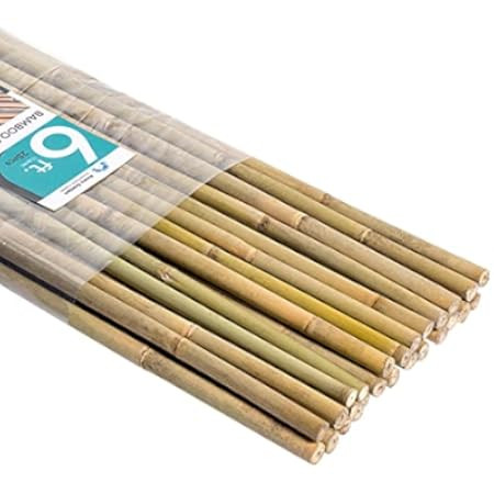 Hydrofarm HGBB2 2' Natural, pack of 25 Bamboo Stake, Tan | Amazon (US)