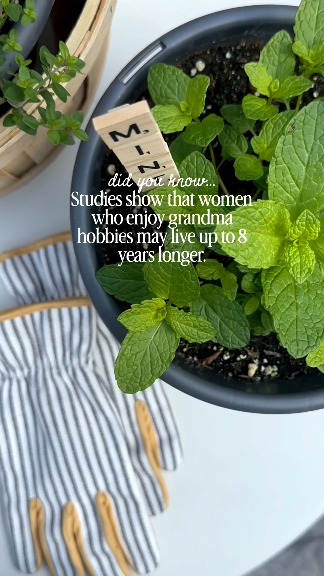 Supplies you’ll need to make your own plant markers with scrabble tiles.

#LTKHome #LTKSeasonal