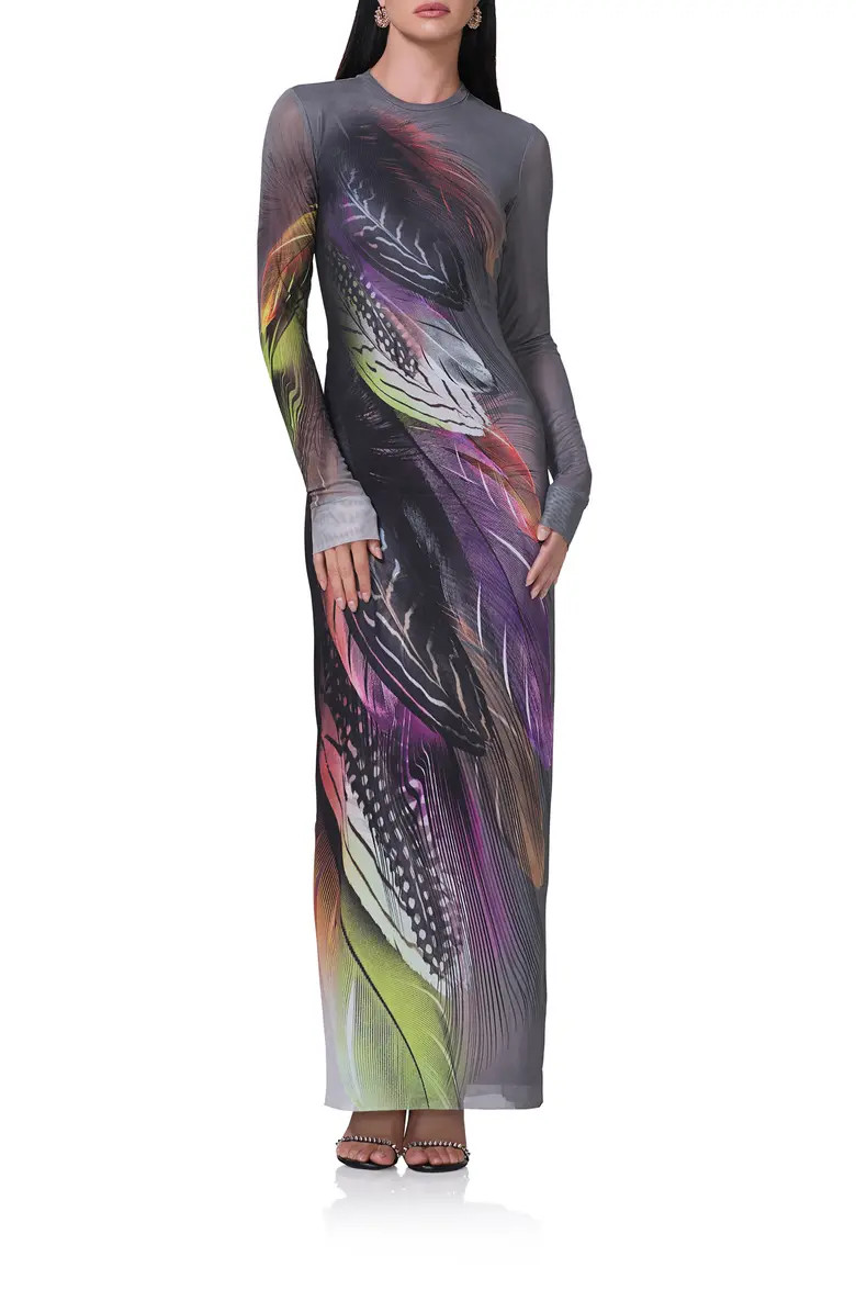 Didi Long Sleeve Mesh Maxi Dress | Nordstrom