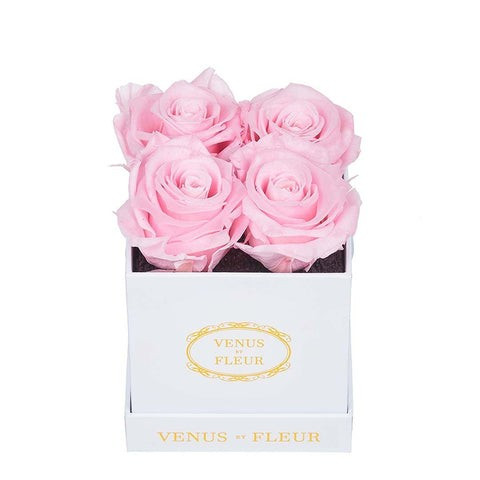 Le Petit | Venus ET Fleur