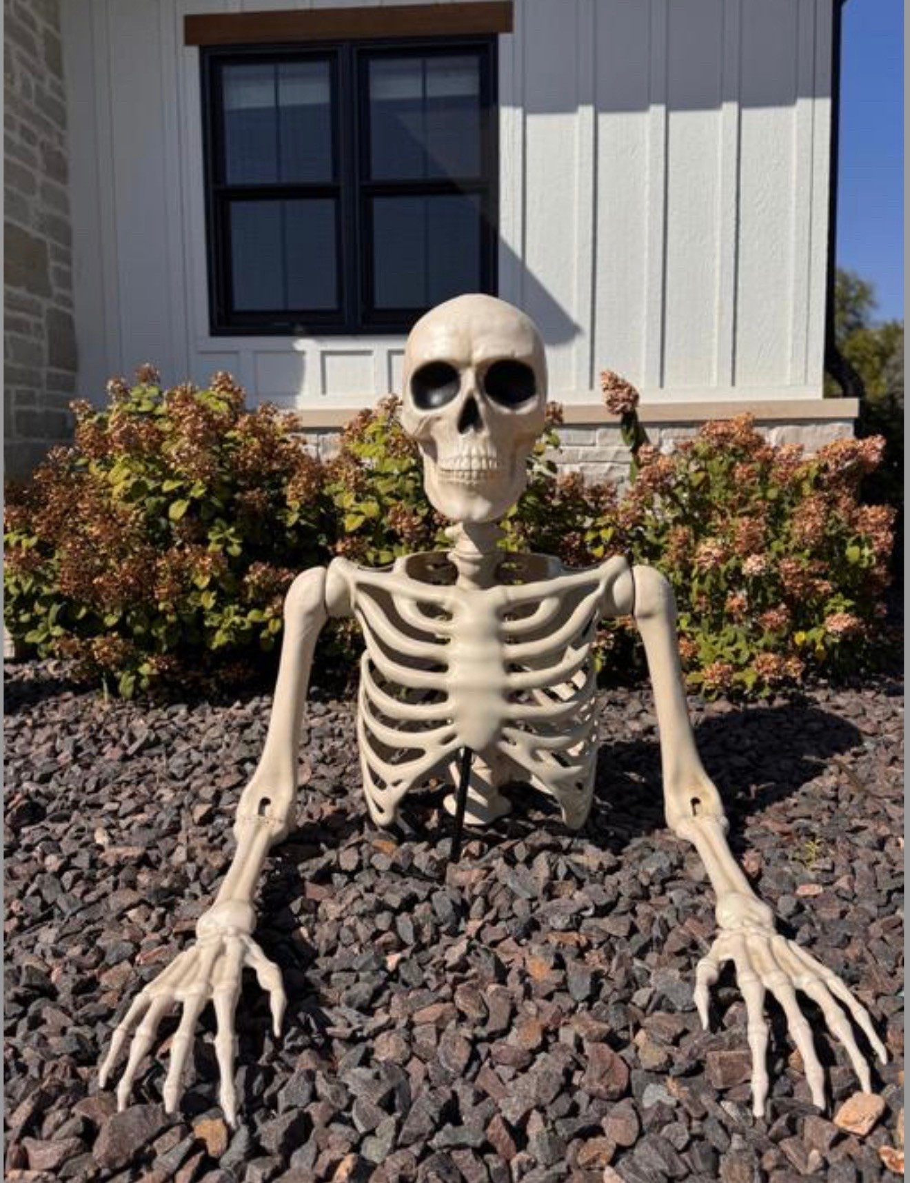 Outdoor skeleton |halloween decor

#LTKHome