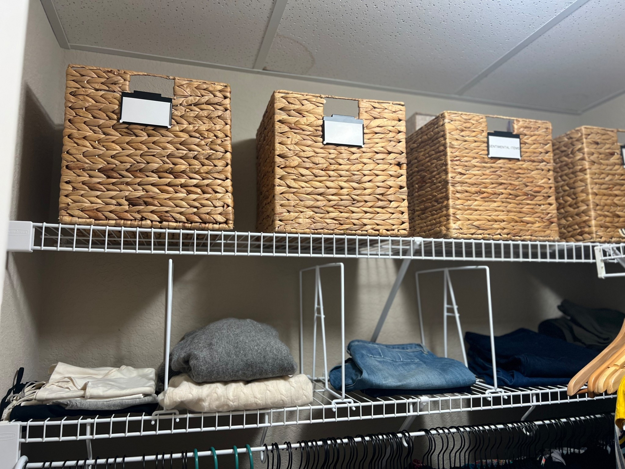 Container Store for the win 🤍