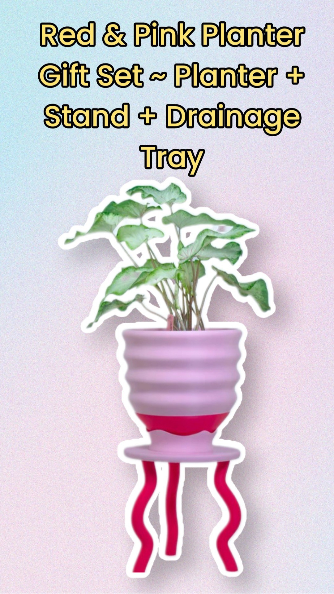 Red & Pink Planter Gift Set ~ Planter + Stand + Drainage Tray - Savings Bundle Deal - Fun Funky Postmodern Dopamine Decor

#LTKSpringSale #LTKHome #LTKFindsUnder100