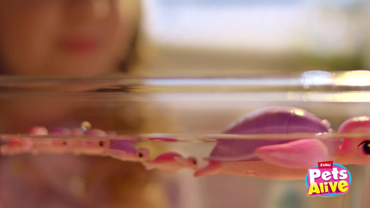 Pets Alive Mommy and Baby Turtle Electronic Girls Robotic Toy , Realistic Animal by ZURU | Walmart (US)