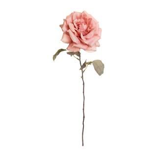 Peach Open Rose Stem by Ashland® | Michaels Stores