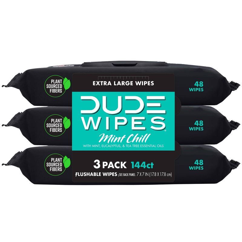 Dude Wipes Mint Chill Flushable Wipes - 3pk/48ct | Target