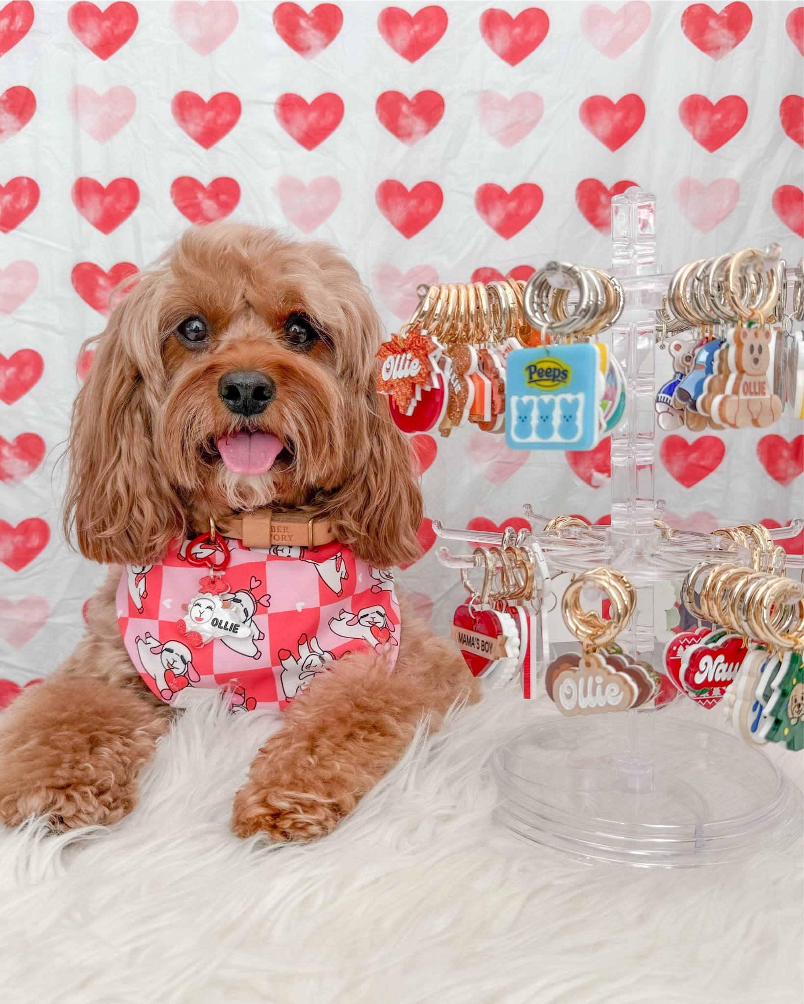 My tag display needed an upgrade, and my Mom had a vision! ⬅️Swipe to see! Linked everything below! See the full reel on Instagram! 