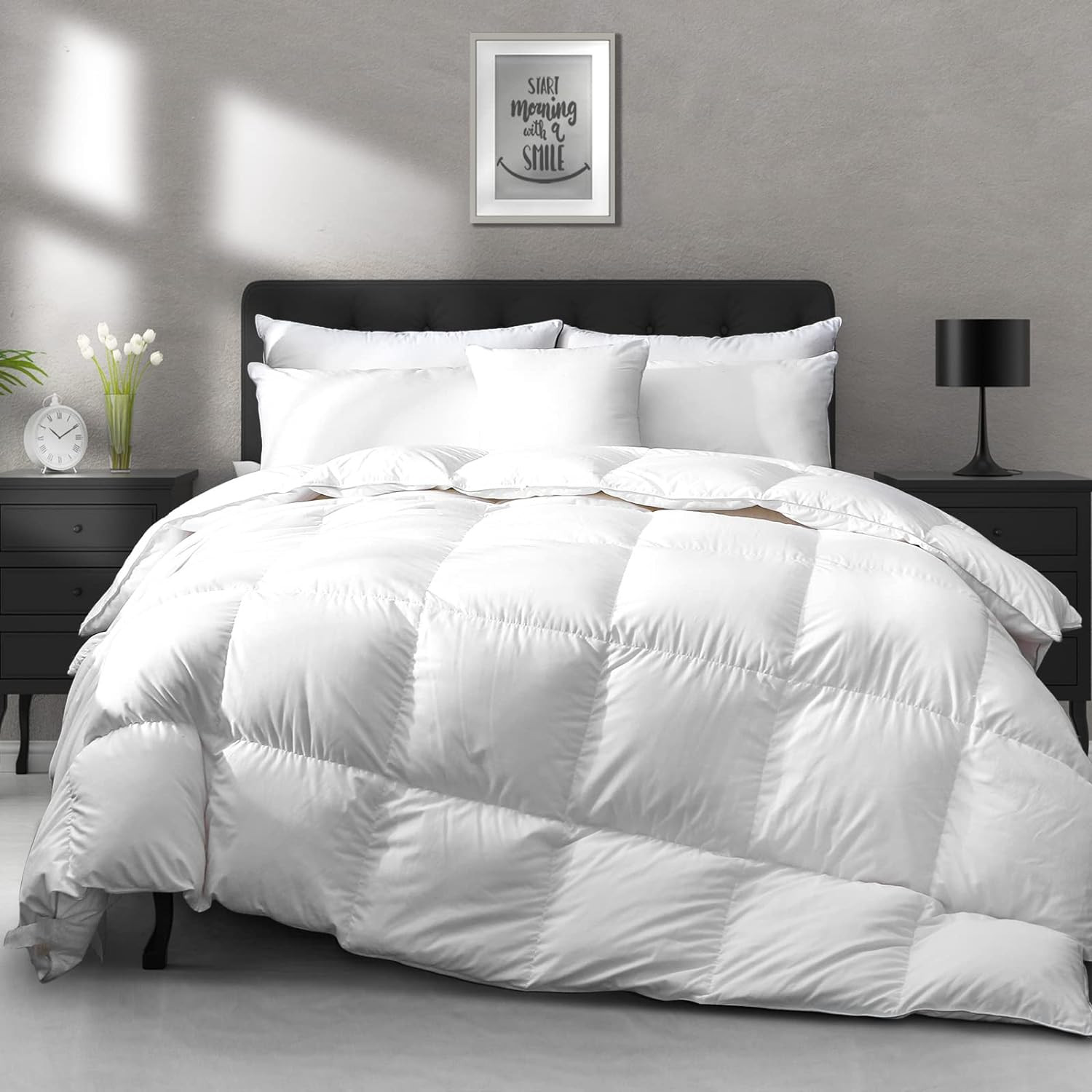 APSMILE All Season Down Feather Fibers Comforter Oversized King Size - Ultra-Soft Down Feather Fi... | Amazon (US)
