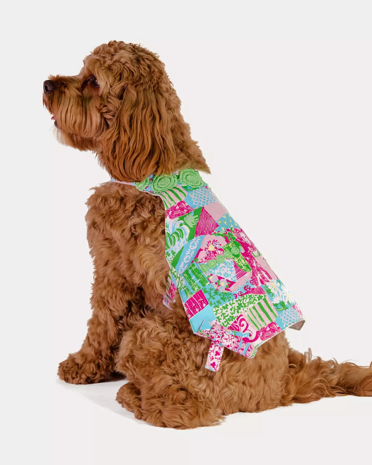 Pet Dress | Lilly Pulitzer