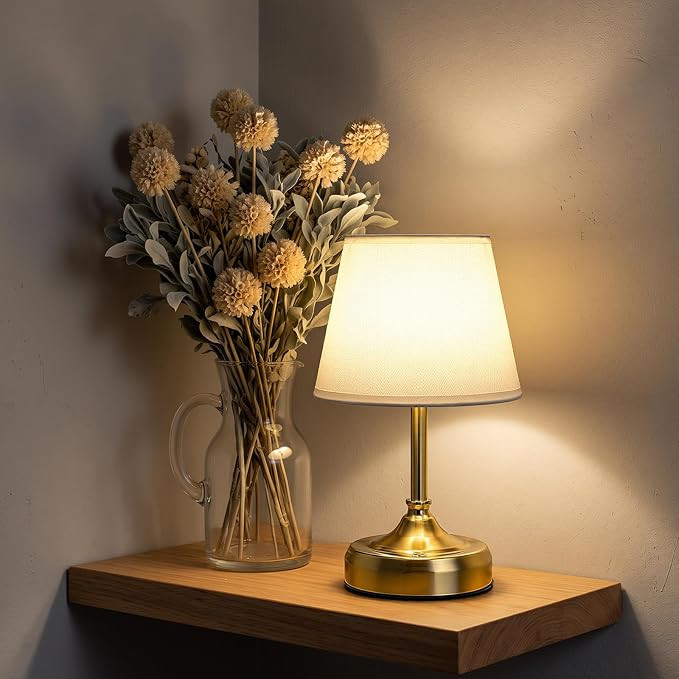 Small Cordless Table Lamp Rechargeable Gold | Amazon (US)