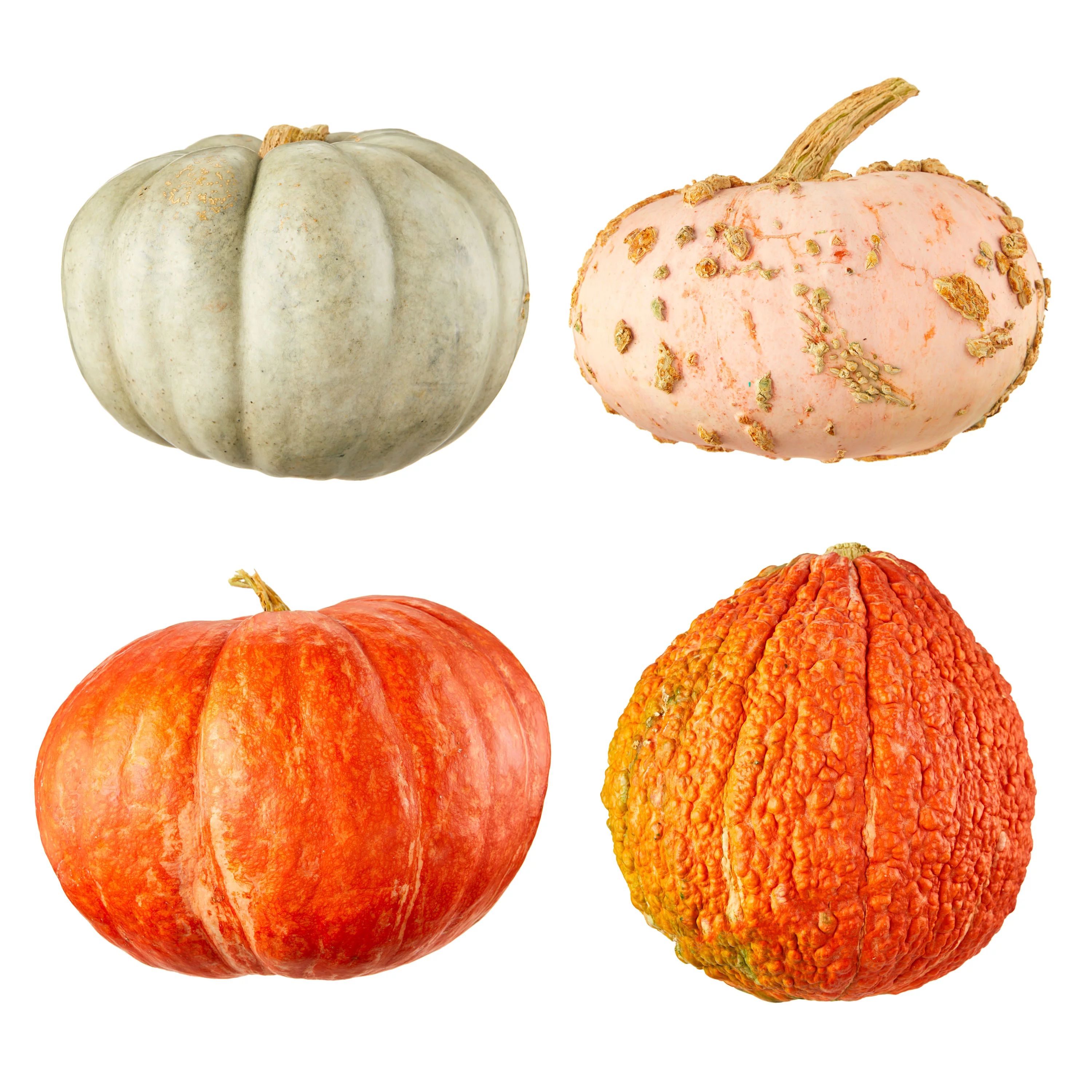 Autumn Color Pumpkins, Each (Color and Variety May Vary) - Walmart.com | Walmart (US)