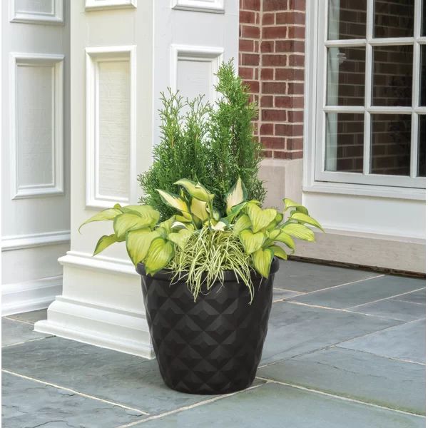 Pinehurst 2-Piece Resin Pot Planter Set | Wayfair North America