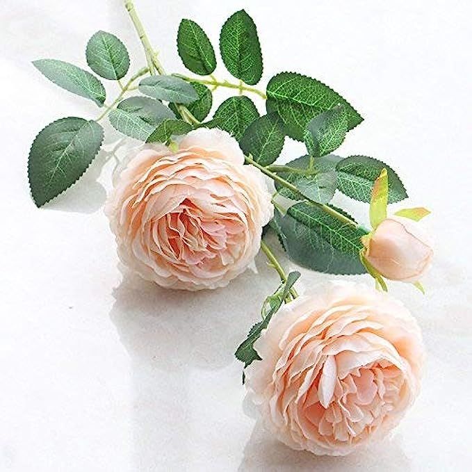 Artfen 5 Pack 3 Heads Artificial Silk European Rose Flower Peony Flower Long Stem Fake Plastic Flowe | Amazon (US)