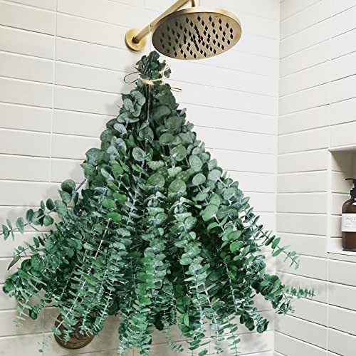 42 PCS Dried Eucalyptus Bundle for Shower - 17" Large Preserved Eucalyptus Stems Plant, Real Leaves for Shower Hanging, Artificial Flowers Arrangement, Home Bathroom Decor | Amazon (US)