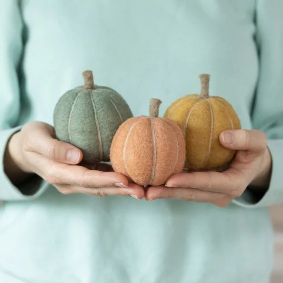 Pumpkins II Needle Felting Kit  Halloween Fall or Autumn - Etsy | Etsy (US)