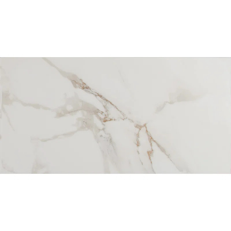 Pietra 12" x 24" Porcelain Stone Look Wall & Floor Tile | Wayfair North America
