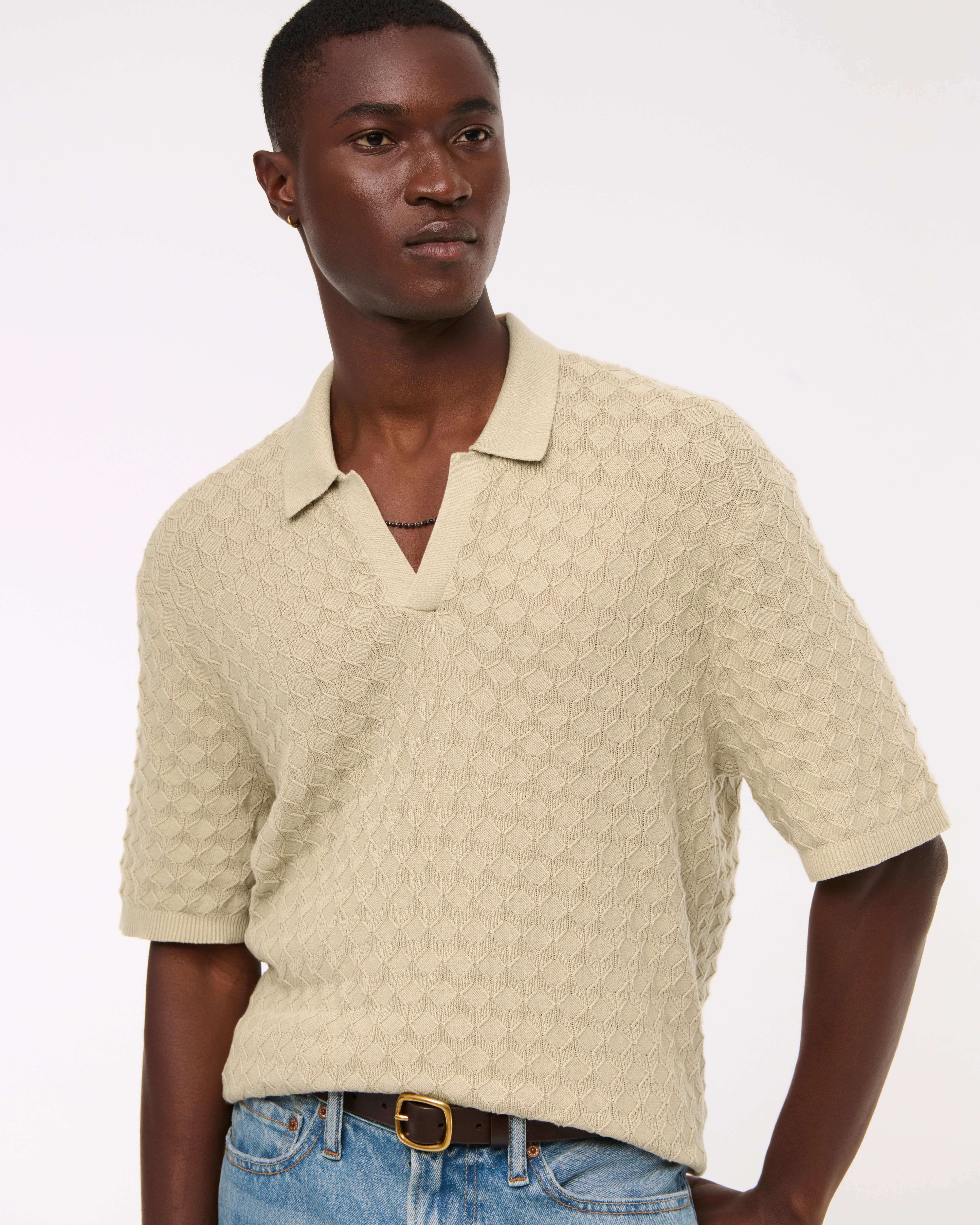 Pointelle Stitch Johnny Collar Sweater Polo | Abercrombie & Fitch (US)