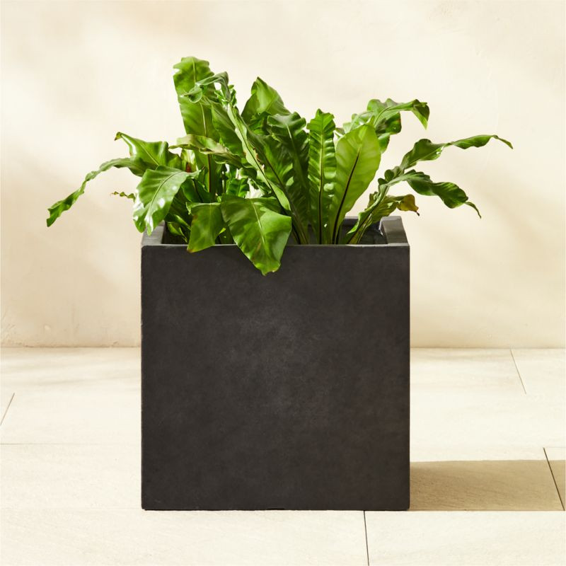 Ash Square Dark Grey Cement Indoor/Outdoor Planter Small + Reviews | CB2 | CB2