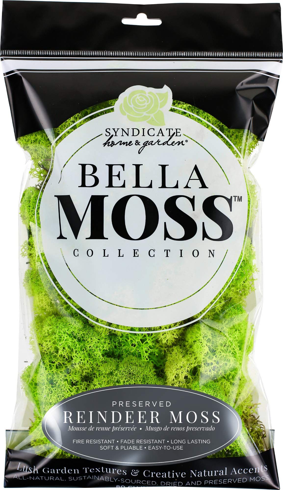 BELLA MOSS 1406121080 Reindeer Bag Moss, Chartreuse | Amazon (US)