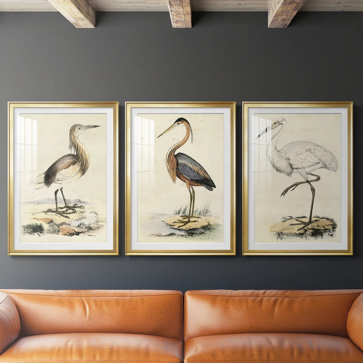 Antique Heron I  -Custom Framed  Premium Print W Matt - 3 Pieces (Set of 3) | Wayfair North America