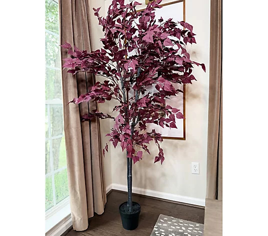Simply Stunning 6' Potted Oak Leaf Tree by Janine Graff | QVC