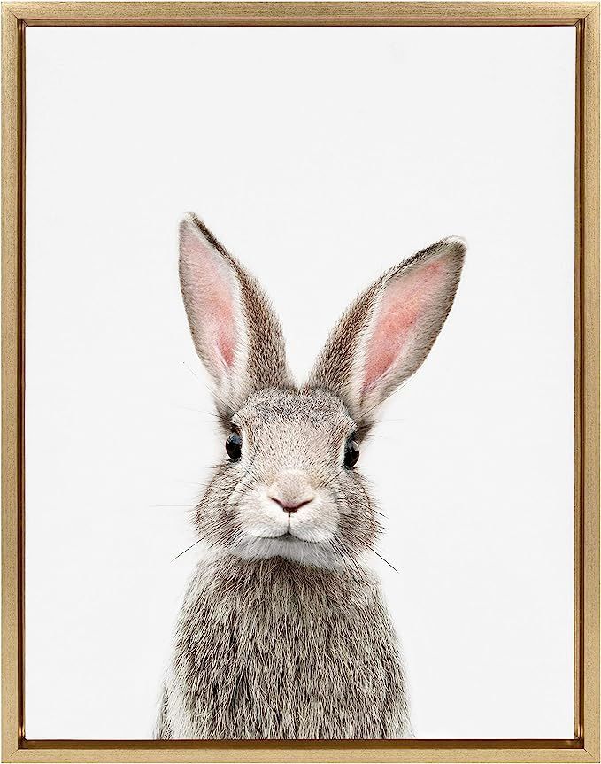 Kate and Laurel Sylvie Female Rabbit Framed Canvas Wall Art by Amy Peterson, 18x24 Gold, Baby Ani... | Amazon (US)