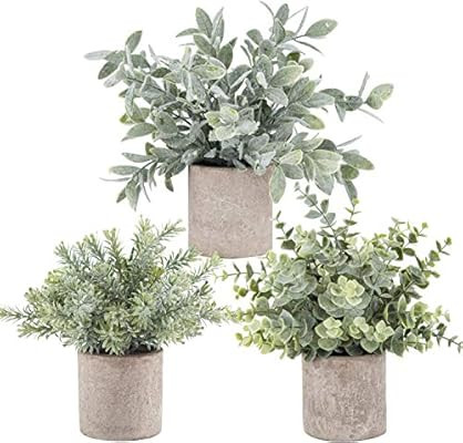 3 Pack Mini Potted Fake Plants Artificial  Plastic  Eucalyptus Plants for Home Office Desk Room D... | Amazon (US)
