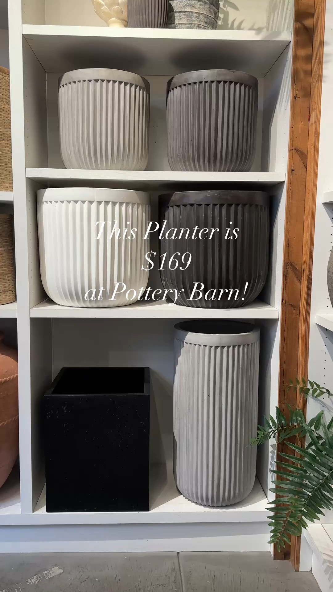 These viral Walmart planters are definitely worth the hype!! Yes I would much rather spend $30 on the look for less planters than the designer Version. The faux ferns complete the look and are also linked here! Perfect addition to your front porch decor.

home decor, modern organic home, neutral home styling, affordable home finds, home styling tips, porch styling tips

walmart planters, pottery barn dupes, outdoor planters, planter styling, budget friendly planters

viral, trending, for you page, must have, home inspo

#LTKStyleTip #LTKSeasonal #LTKHome