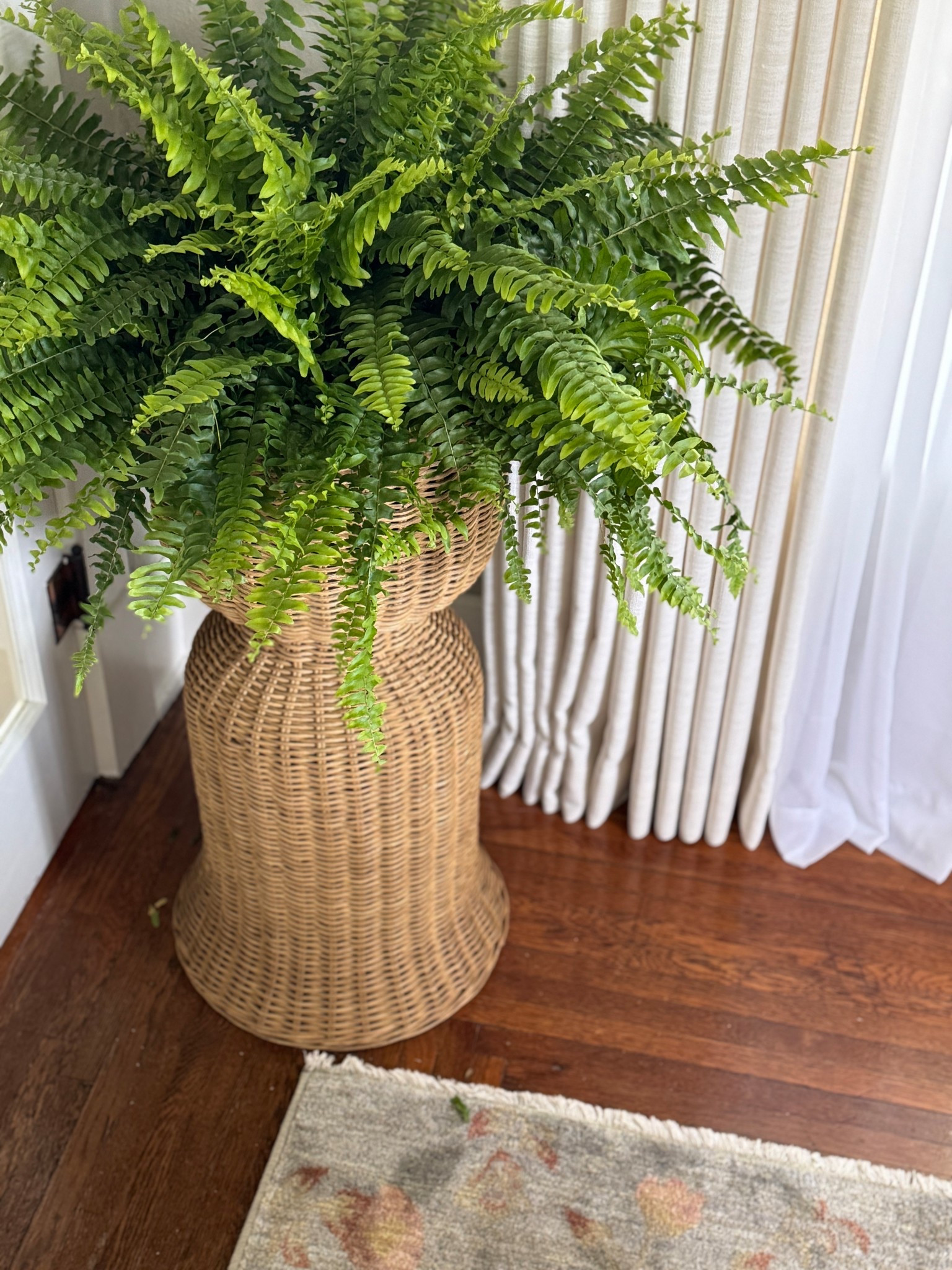 Obsessed with this floor planter I picked up from @homegoods the other day. I linked a few similar - the oversized vases would be so cool on a pedestal or as a centerpiece!

#LTKSeasonal #LTKHome #LTKStyleTip