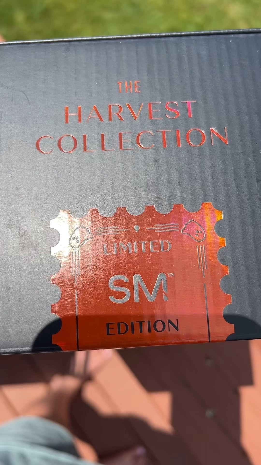 Limited edition simple modern harvest collection! 

#LTKSeasonal #LTKFindsUnder50 #LTKSaleAlert