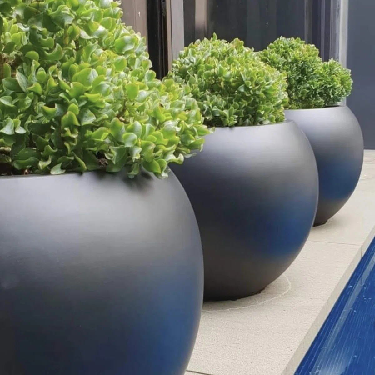 Dorlis Fiberstone Pot Planter | Wayfair North America