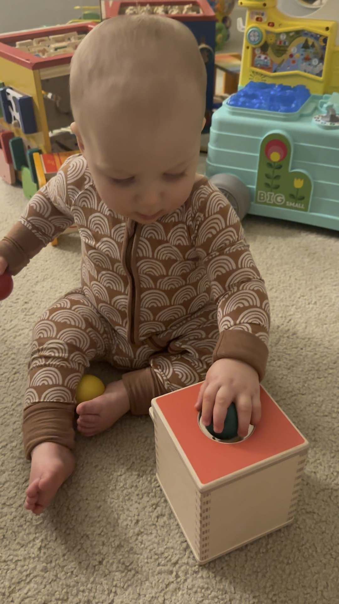 11 months old and loved this 