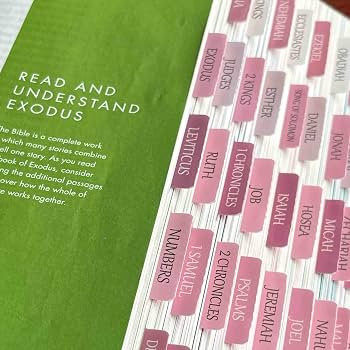 Laminated Bible Tabs, Reposition Large Print Stickers, Easy to Read and Apply Bible Tabs for Wome... | Amazon (US)