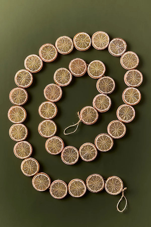 Sugared Orange Slice Garland | Anthropologie (US)