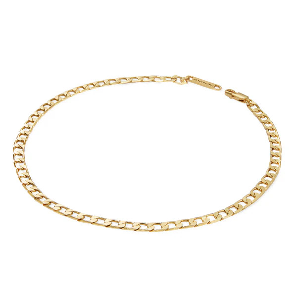 Walter Choker flat curb chain necklace in Gold | JENNY BIRD | Jenny Bird US