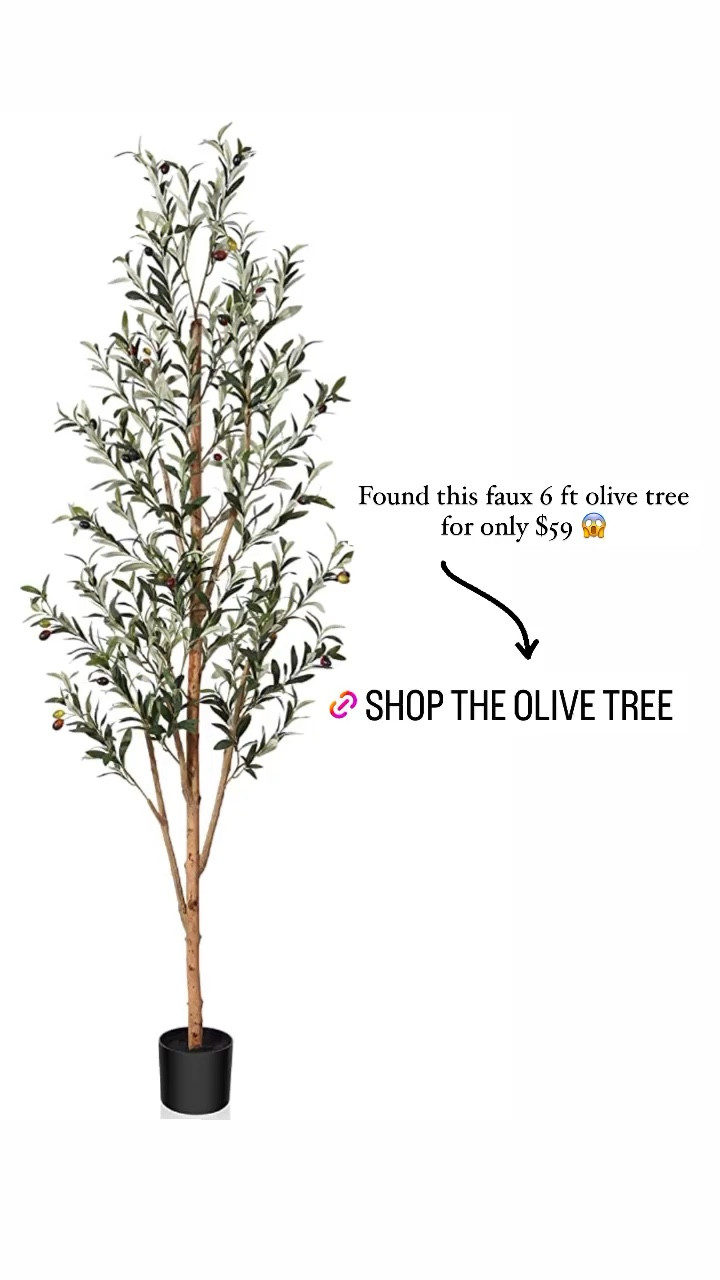 Found this olive tree for $59! This is a steal I paid over $100+ for mine! Home decor home finds olive tree Amazon finds 

#LTKsalealert #LTKhome #LTKFind