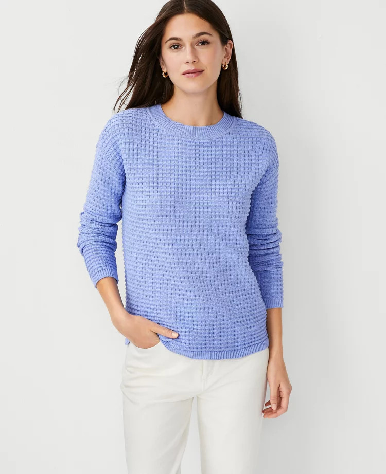 color: Deep Wisteria










selected | Ann Taylor (US)
