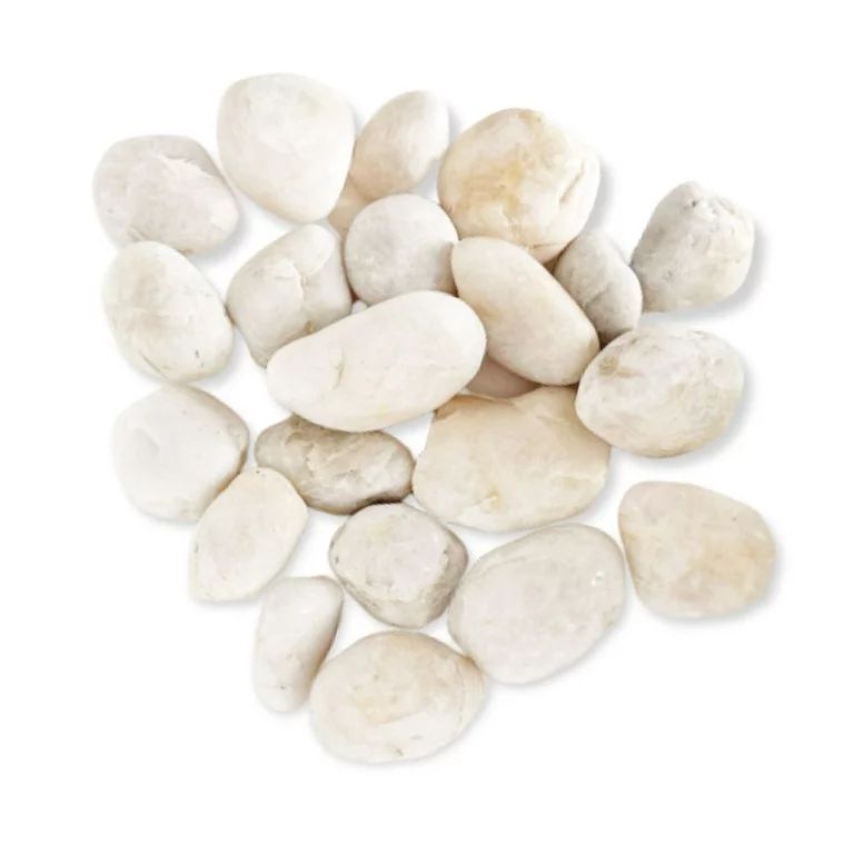 PGN White River Rocks for Plants - 5 Pounds - White Rocks with Smooth, Polished Surfaces - 2-4 In... | Walmart (US)