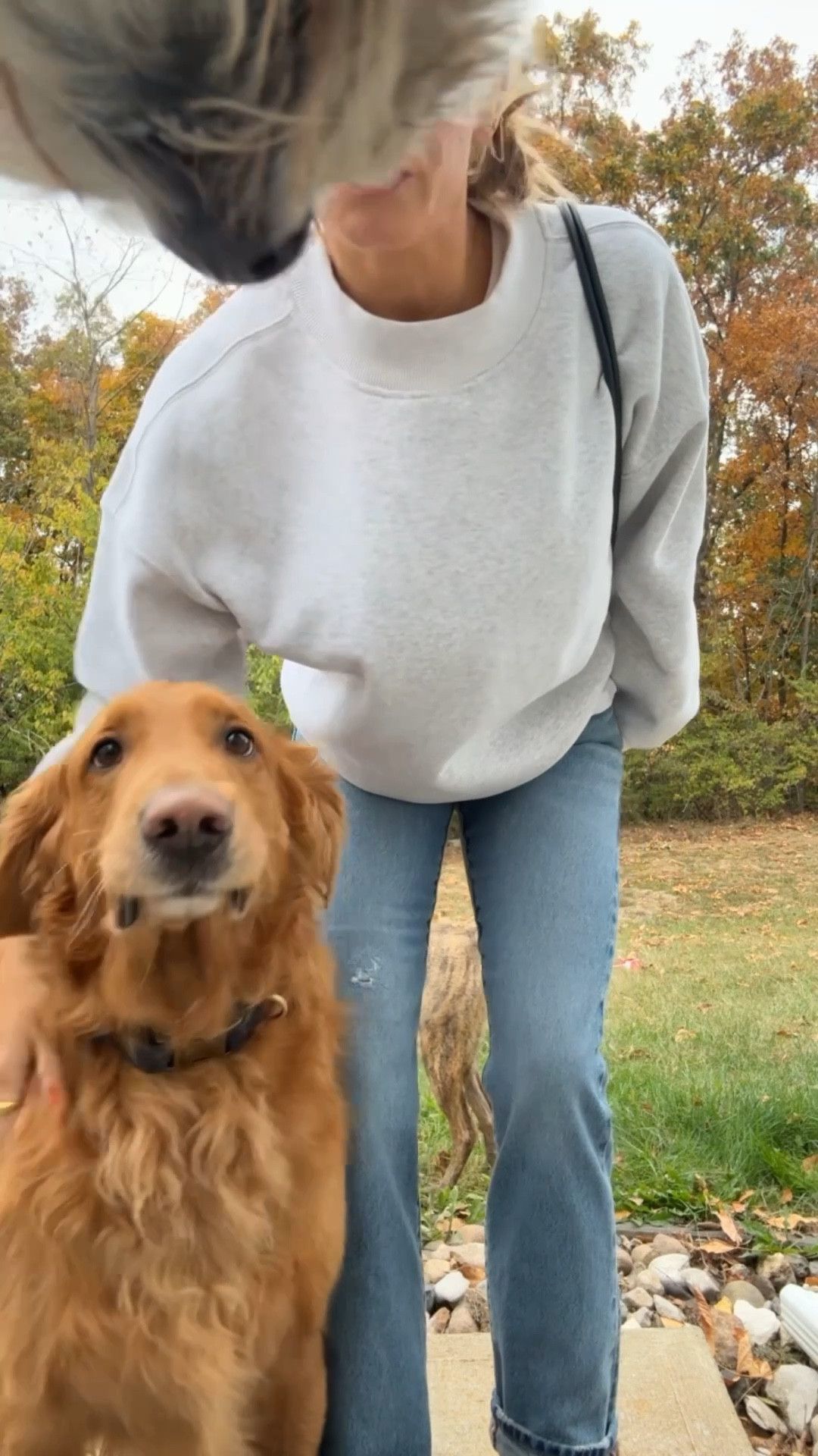 Saturday ootd featuring or should I say starring Mr. Moose Sir Leo King.