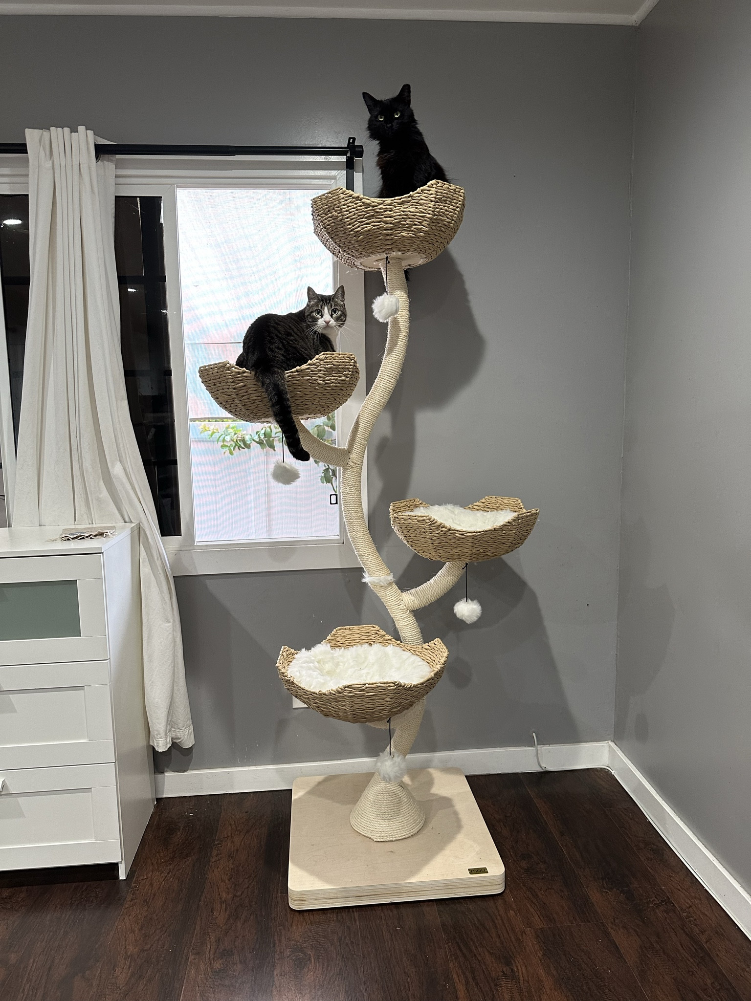 New house new cat tower! Our daughters love it so much 💛 Sturdy cat tower & Soft cushions ✨ 

#LTKhome #LTKSeasonal #LTKfamily
