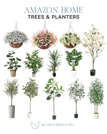 These indoor plants, artificial trees, and faux flowers are the perfect addition to your home decor!
#livingroomrefresh #amazonfinds #springrefresh #homedesign

#LTKSeasonal #LTKstyletip #LTKhome
