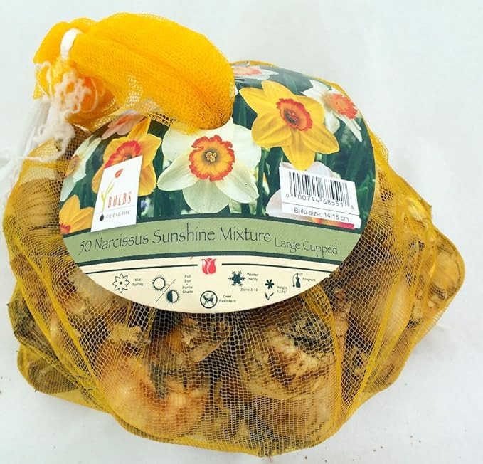 Sunshine Narcissus Mix 50 Bulbs- 14/16 cm Bulbs - Value Bag | Amazon (US)