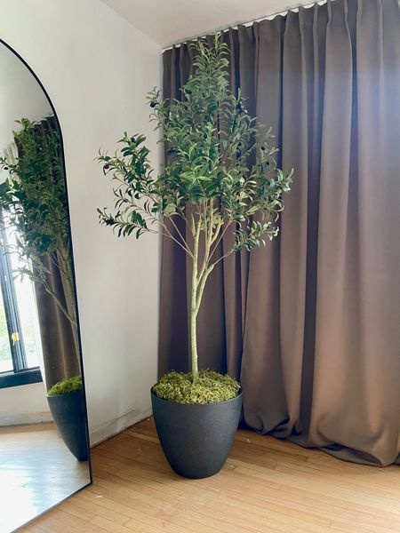 Faux Olive Tree 