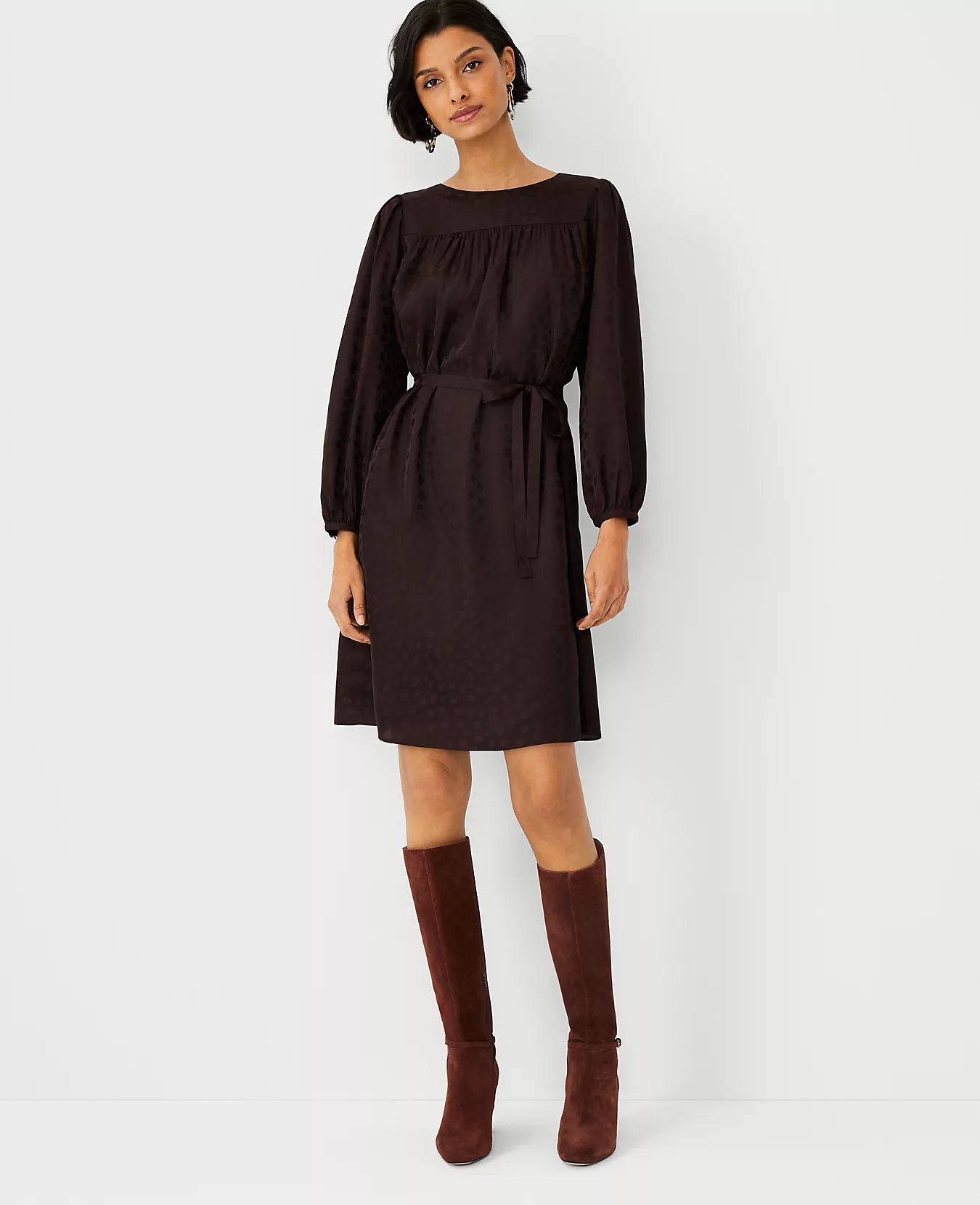 Belted Flare Dress | Ann Taylor (US)