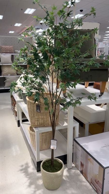 New Studio McGee x Target | Target decor | faux tree | artificial maple tree | affordable home decor | Target home decor 

#LTKhome #LTKFind #LTKstyletip