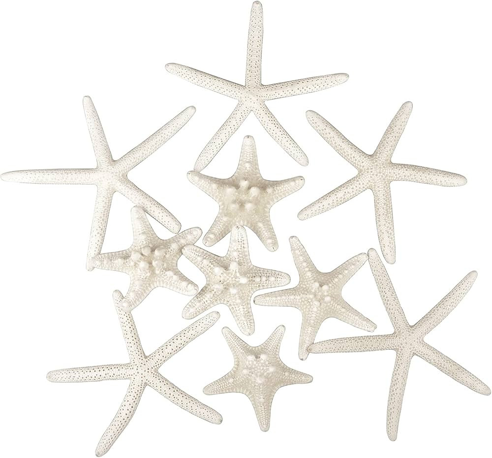 Jangostor 12 PCS Starfish 2-6 Inch Mixed Starfish Natural Seashells Starfish Star Fish Shells Dec... | Amazon (US)