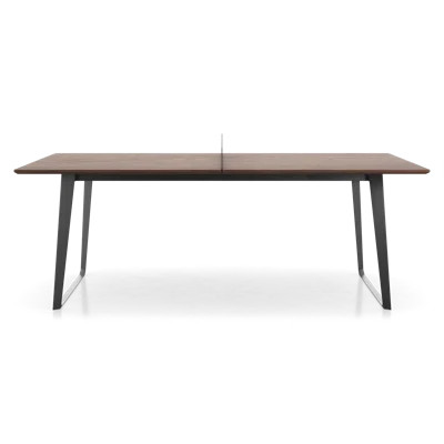 Amsterdam Ping Pong Table Junior in Walnut | Wayfair North America